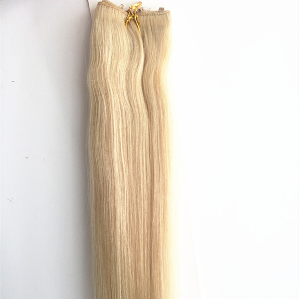 Human Hair Remy Hair Grade halo hair extensions high quality YL150